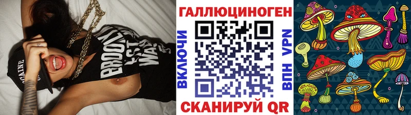 Купить закладки  Невель  Псилоцибиновые грибы мицелий 