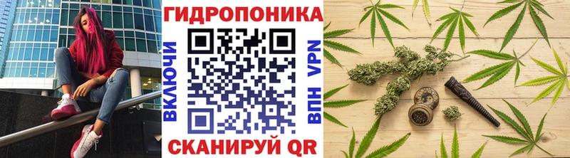 Конопля планчик  Купить где  Невель 